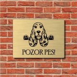 Tabulka Pozor pes Anglický kokršpaněl