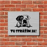 Tabulka Pozor pes Anglický buldok