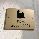 Tabulka Pozor pes Yorkšírský teriér