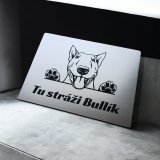 Tabulka Pozor pes Bulteriér