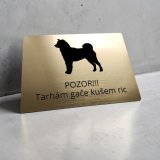 Tabulka Pozor pes Shiba Inu