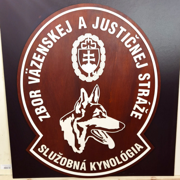 ZVJS logo