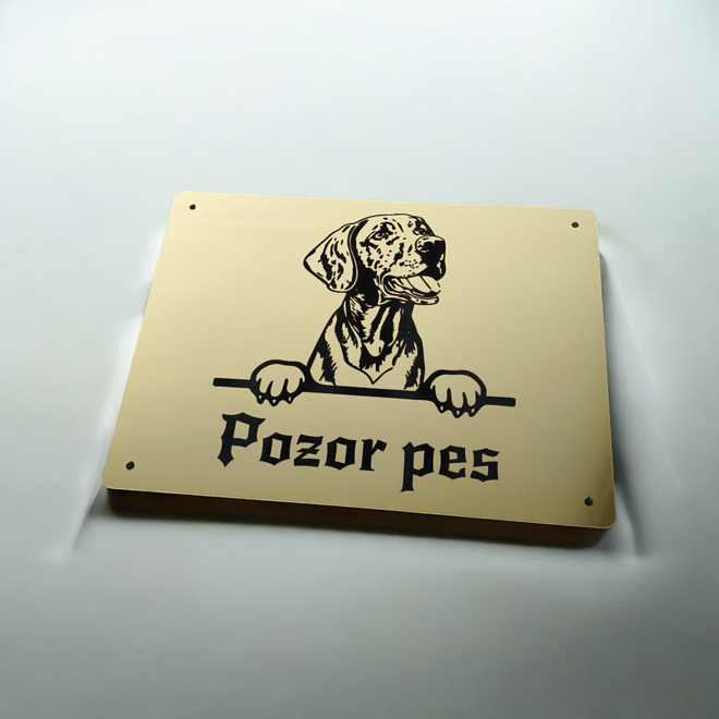 Zlatá tabulka Pozor pes – vykukující maďarský ohař