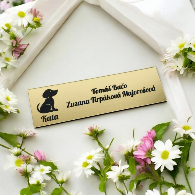 Jmenovka na dveře Pejsek se jménem