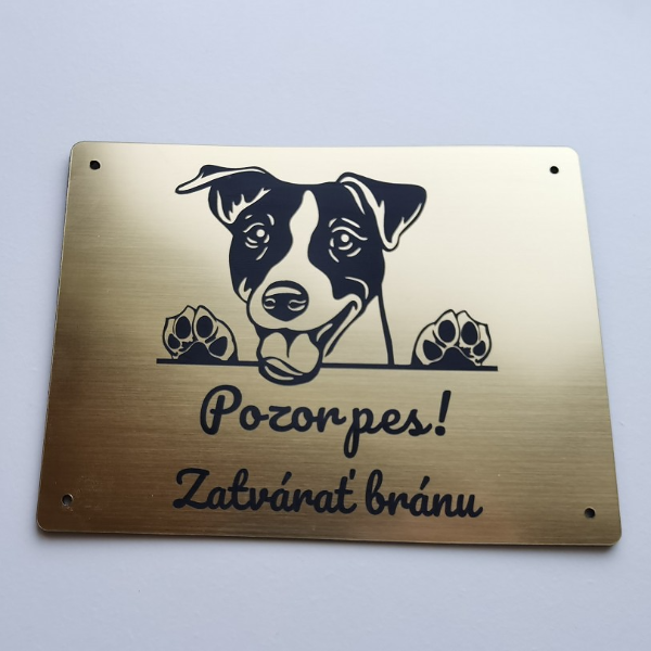 Zlatá tabulka s vykukujícím Jack Russell teriérem a nápisem Pozor pes! Zavírat bránu