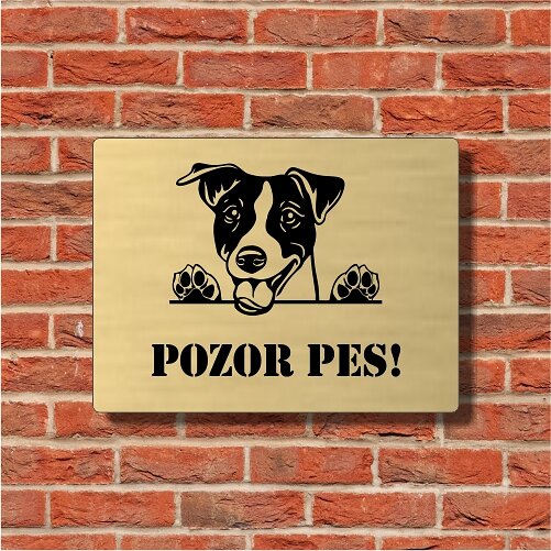 Zlatá tabulka Pozor pes s Jack Russell teriérem na cihlové zdi