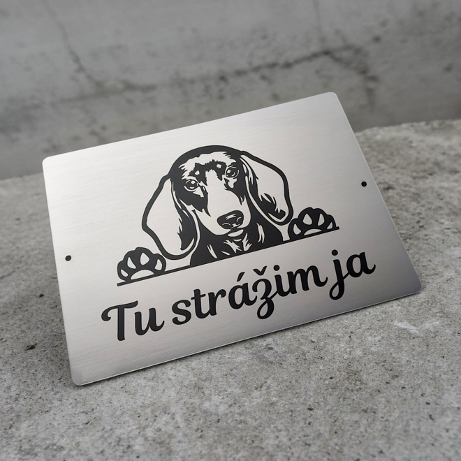 Stříbrná tabulka s vykukujícím jezevčíkem a nápisem Tady hlídám já na betonu