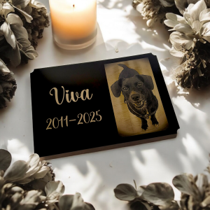 Tabulka na hrob zvířete V2