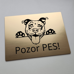 Tabulka Pozor pes Pitbull cute