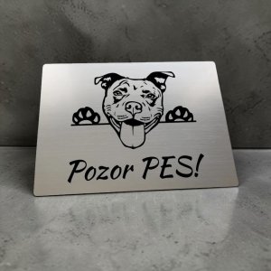 Tabulka Pozor pes Pitbull cute