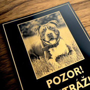 Tabulka Pozor pes s vlastní fotografií