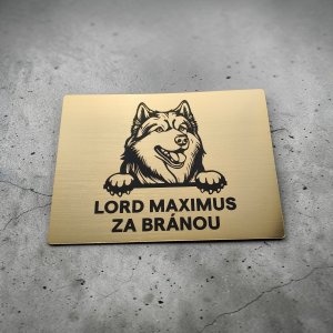 Tabulka Pozor pes Aljašský malamut
