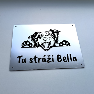 Tabulka Pozor pes Border kolie cute